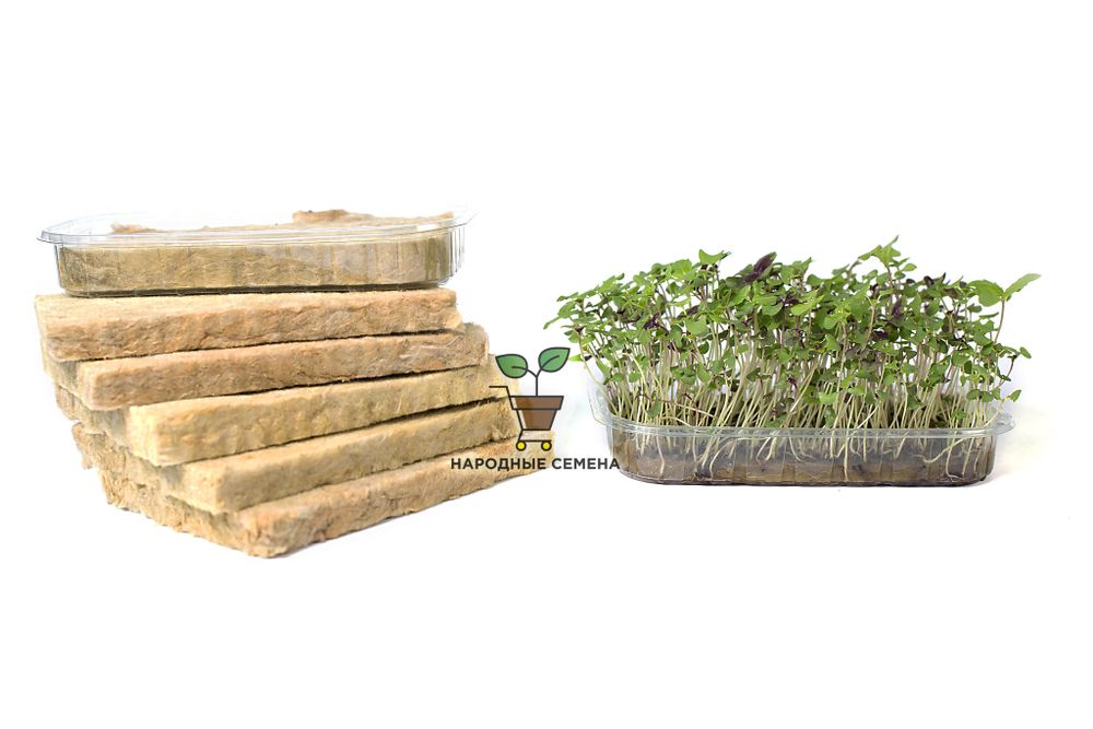 Агровата БелАгро