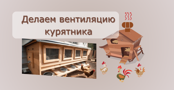 Как Правильно Сделать Вентиляцию в Курятнике: Пошаговое Руководство и Советы по Установке Системы Вентиляции Своими Руками