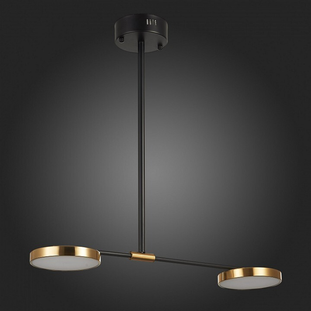 Светильник на штанге ST-Luce SL1605.403.02