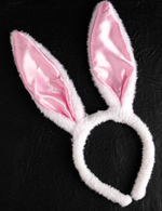 Эротический набор Во власти страсти. Девушка-плейбой (Цвет: разноцветный)