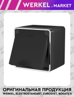 Розетка влагозащищенная IP44 с заземлением крышкой и шторками Gallant (черный/хром) W5071235