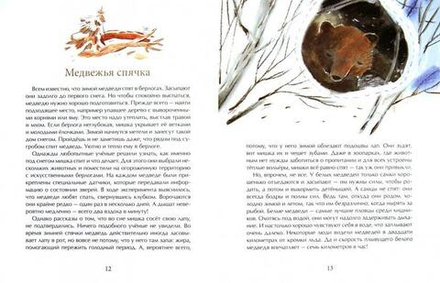 Мишка. Самый русский зверь