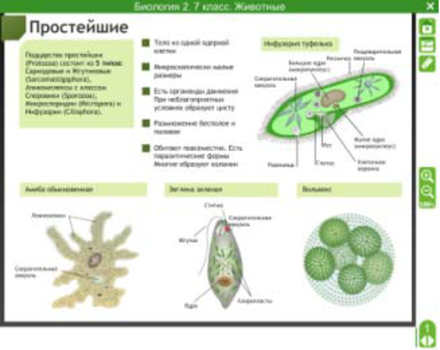 Электронные плакаты и тесты. Биология. 7 класс. Животные