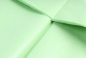 Бумага тишью Салатовая 50х66 см (10 листов)