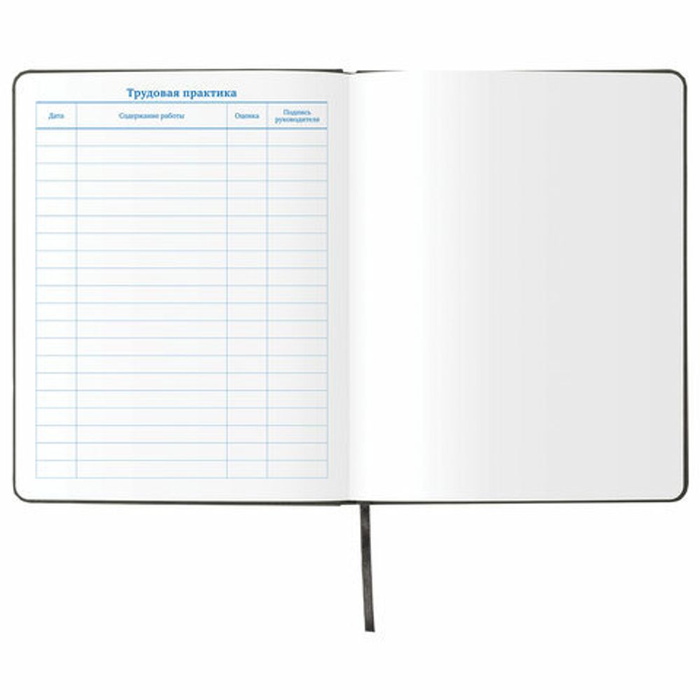 Дневник 1-11 класс 48л, обложка кожзам (твердая), шелкография, BRAUBERG, "ЛЕВ ПОП-АРТ", 105991