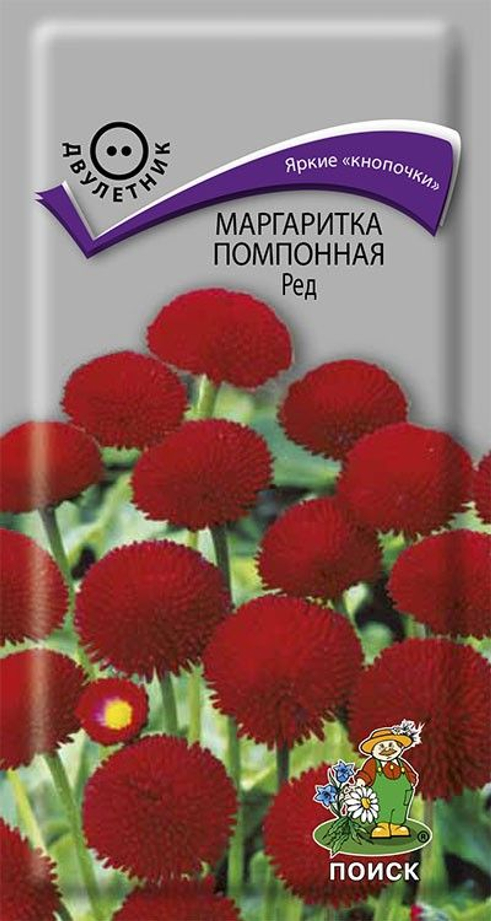 Маргаритка помпонная Ред 0,05гр Поиск