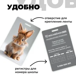 Карта Москвёнок BUNNY №5 (проход + питание)