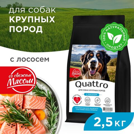 Корм сухой для взрослых собак крупных пород, премиум полнорационный сбалансированный, с лососем, 2,5 кг, QUATTRO