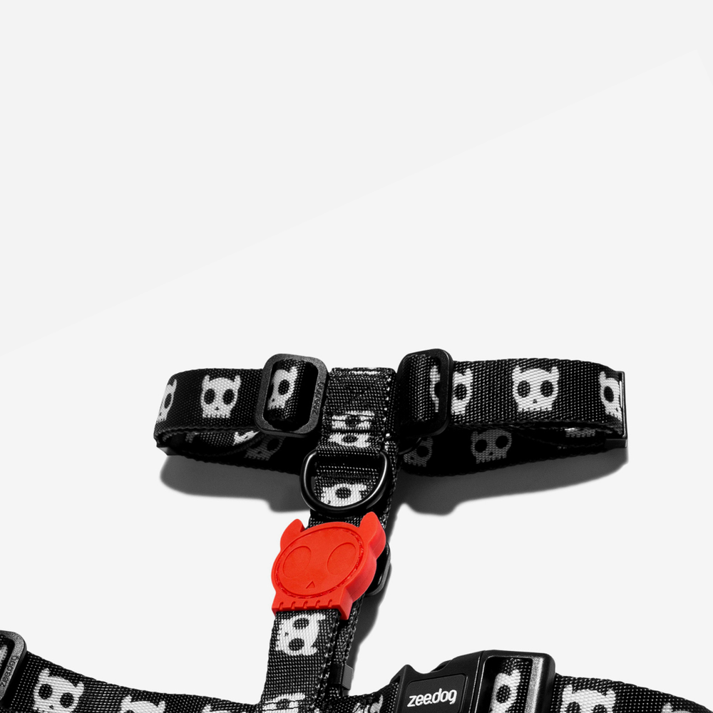 Шлейка SKULL 2.0 Zee.Dog