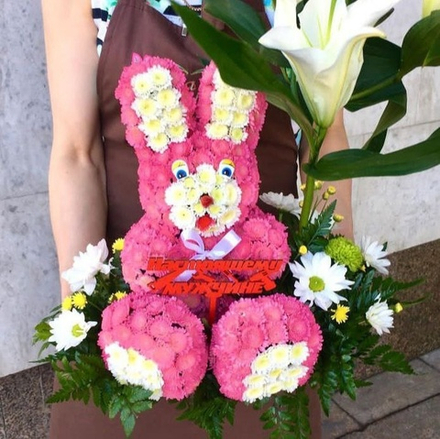 Заяц розовый