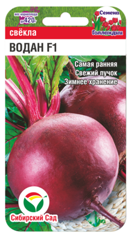 Свекла Водан СибСад