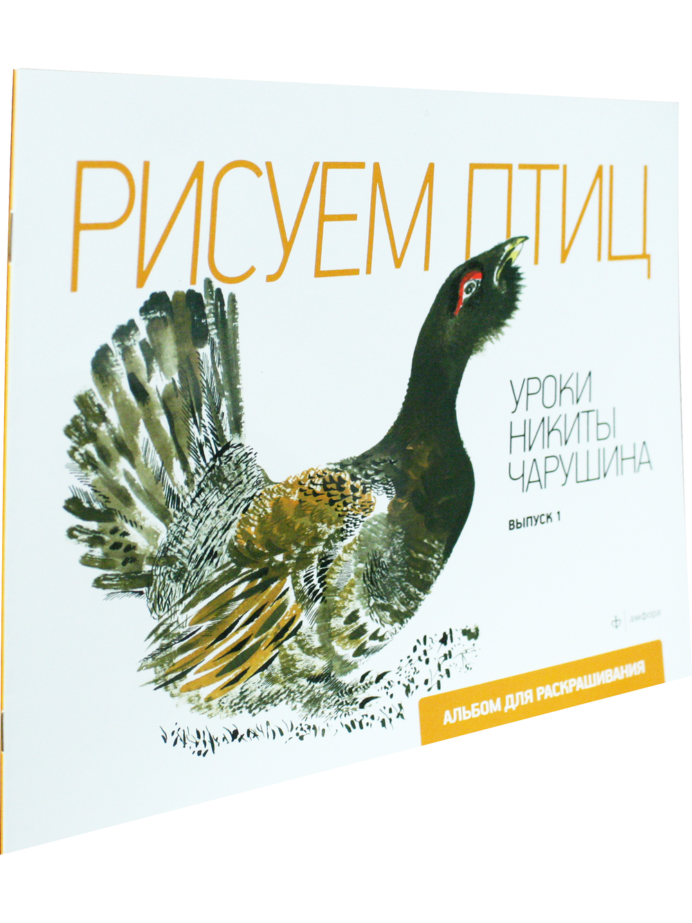 Рисуем птиц. Уроки Никиты Чарушина. Выпуск 1