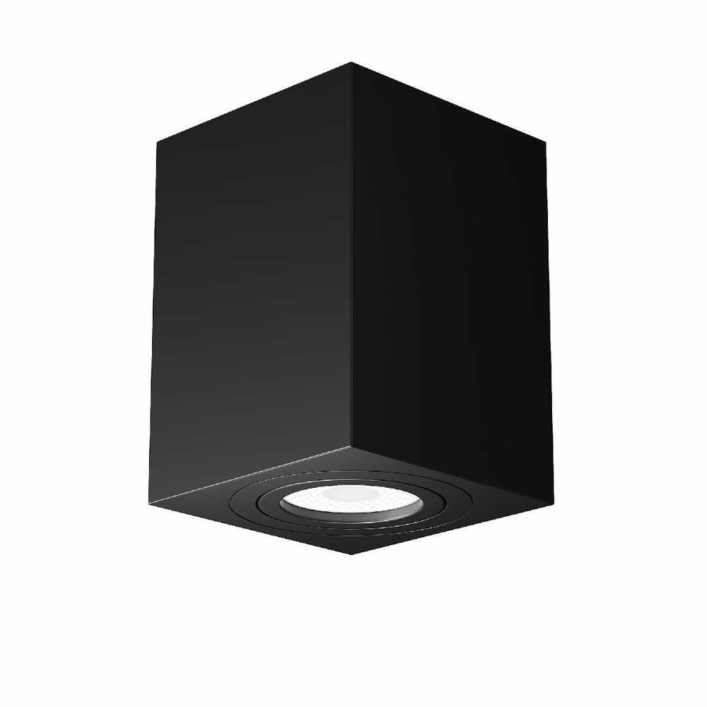 Накладной светильник Maytoni Technical C017CL-01B