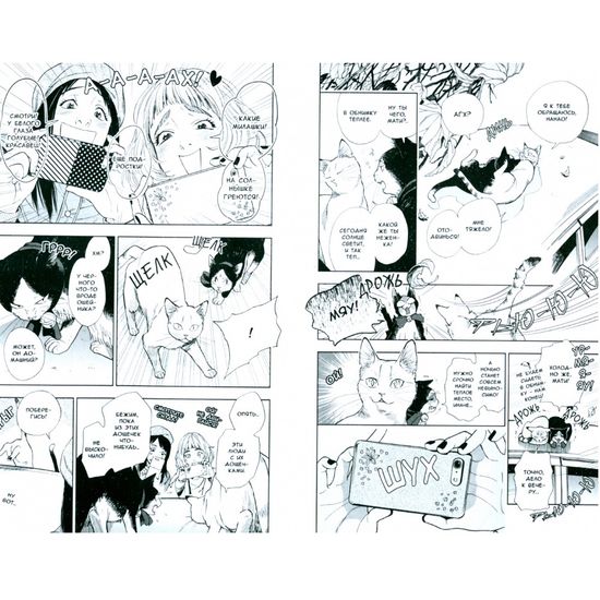 Манга Жизнь бродячего кота. Том 1