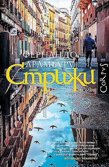 Стрижи