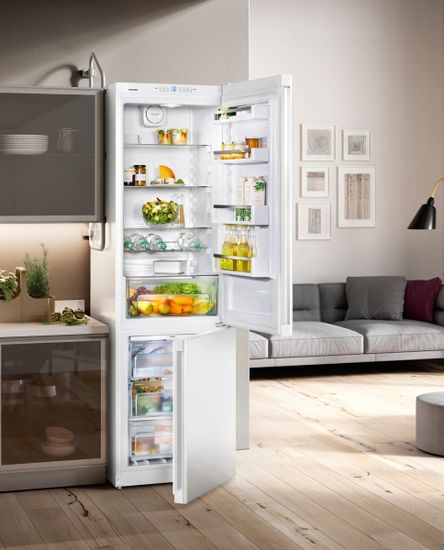 Холодильник Liebherr CNP 4813