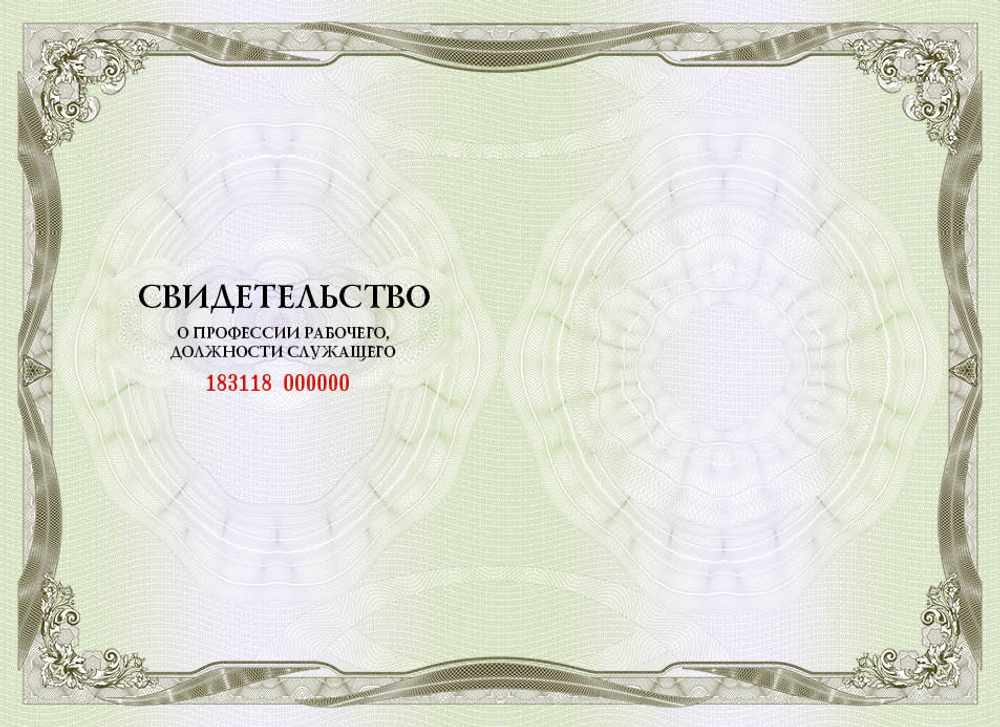 Профессиональное обучение