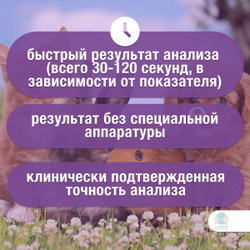 Тест-полоски для анализа мочи CentriVet на 10 показателей, 100 шт.
