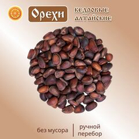 Орех кедровый Алтай