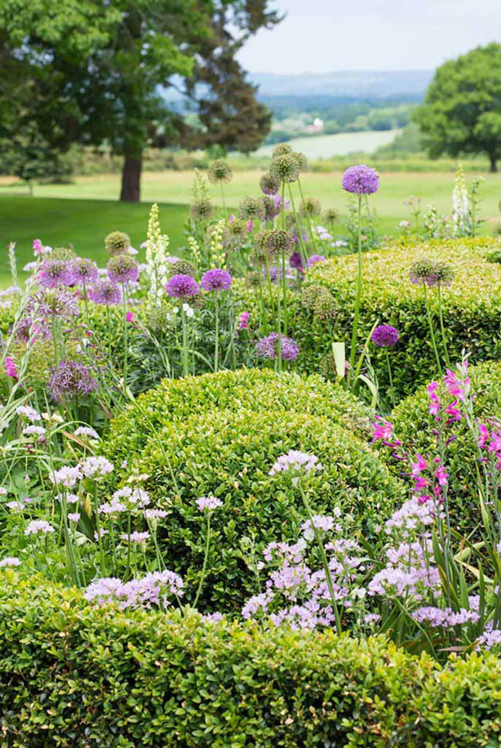 The Gardener`s Palette: Creating Colour Harmony in the Garden