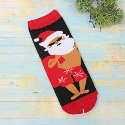 Носки новогодние «SKAZKA», подарок, цвет как на фото, р-р36-42 (крючок, пакет, стикер)