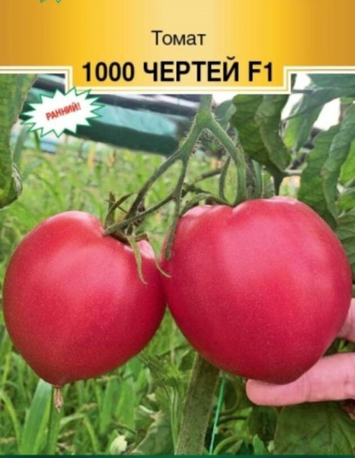 Томат 1000 чертей F1