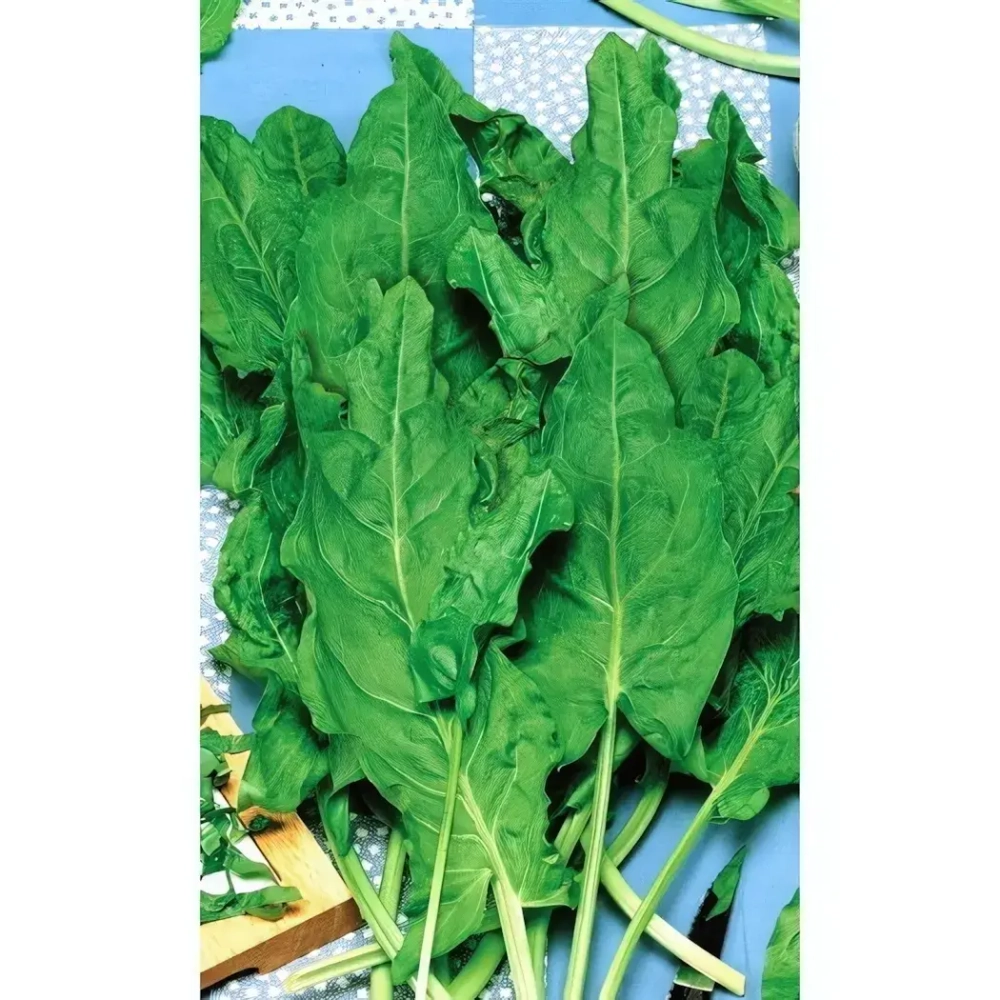 Семена Щавель Бабушкины пирожки 0,3гр (УД) Е/П