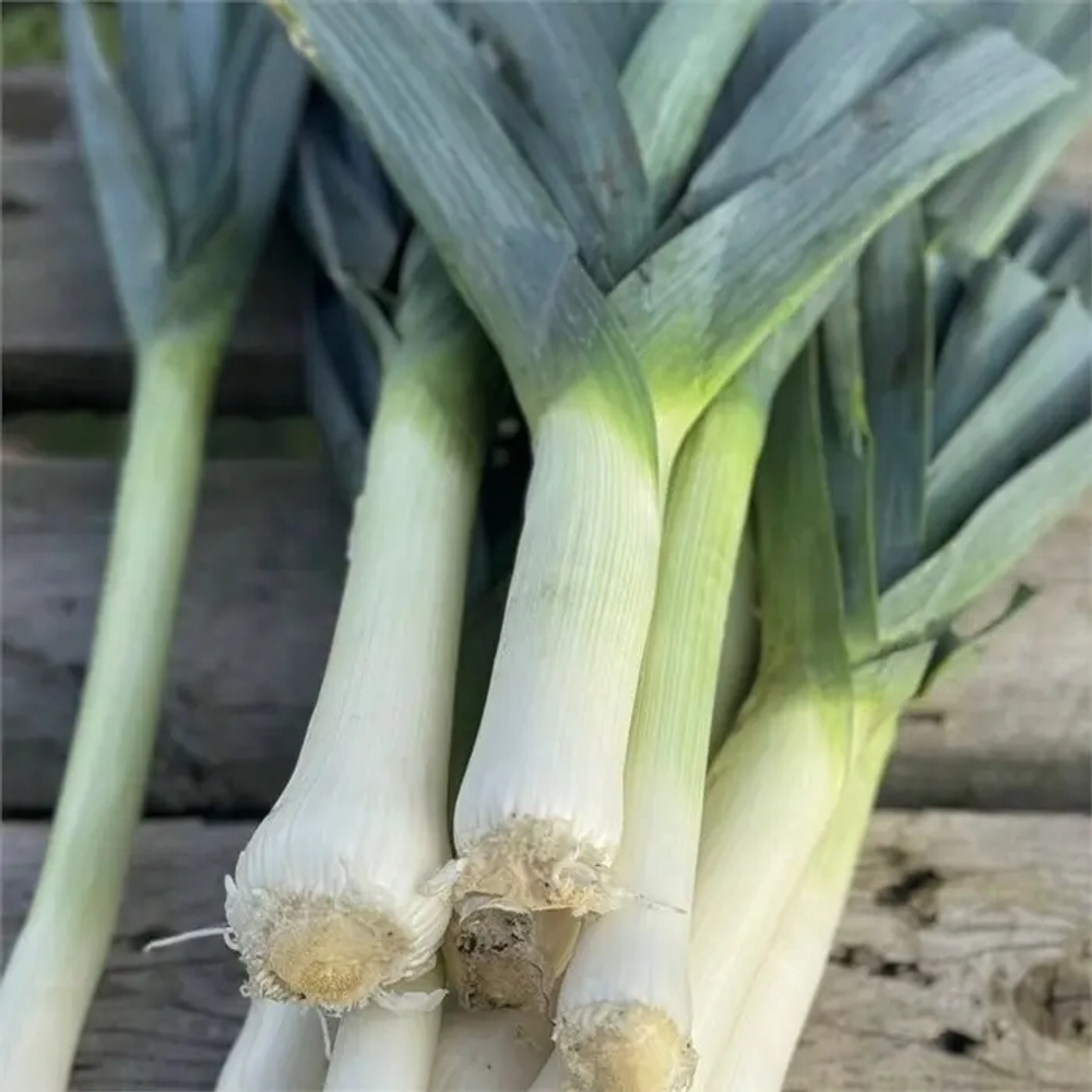 Лук-порей "О, Батат", 500 г (цена указана за 500г, вес может отличаться)