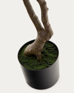 Искусственное дерево пачира в черном горшке 180 см