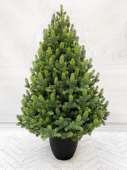 Ель Кремлевская 120 см. в кашпо, 100% литая хвоя, TreeDeLux (70188)