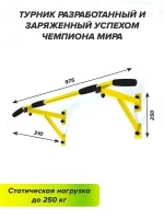 Турник Настенный AKTIV Черный