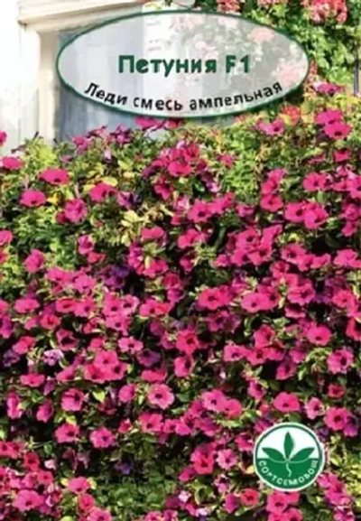 Семена Петуния Леди смесь F1 ампельная, 20шт