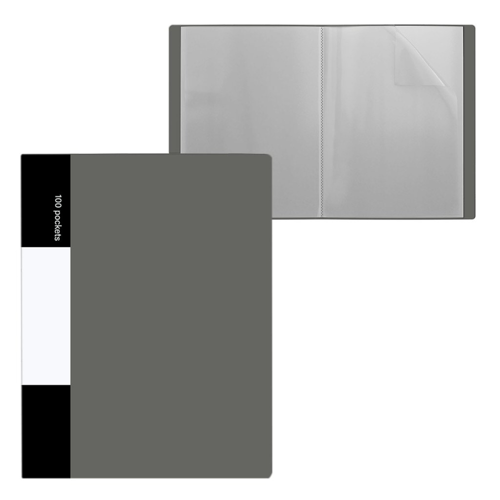 Папка с 100 вкладышами, А4, 50мм, 650 мкм, Alingar, пластик, матовые цвета ассорти