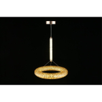 Подвесной светодиодный светильник Aployt Danuta APL.035.06.25