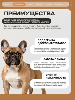 Корм сухой для взрослых собак породы Французский бульдог, с индейкой, 3 кг, QUATTRO