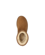 CLASSIC SHORT II-chestnut