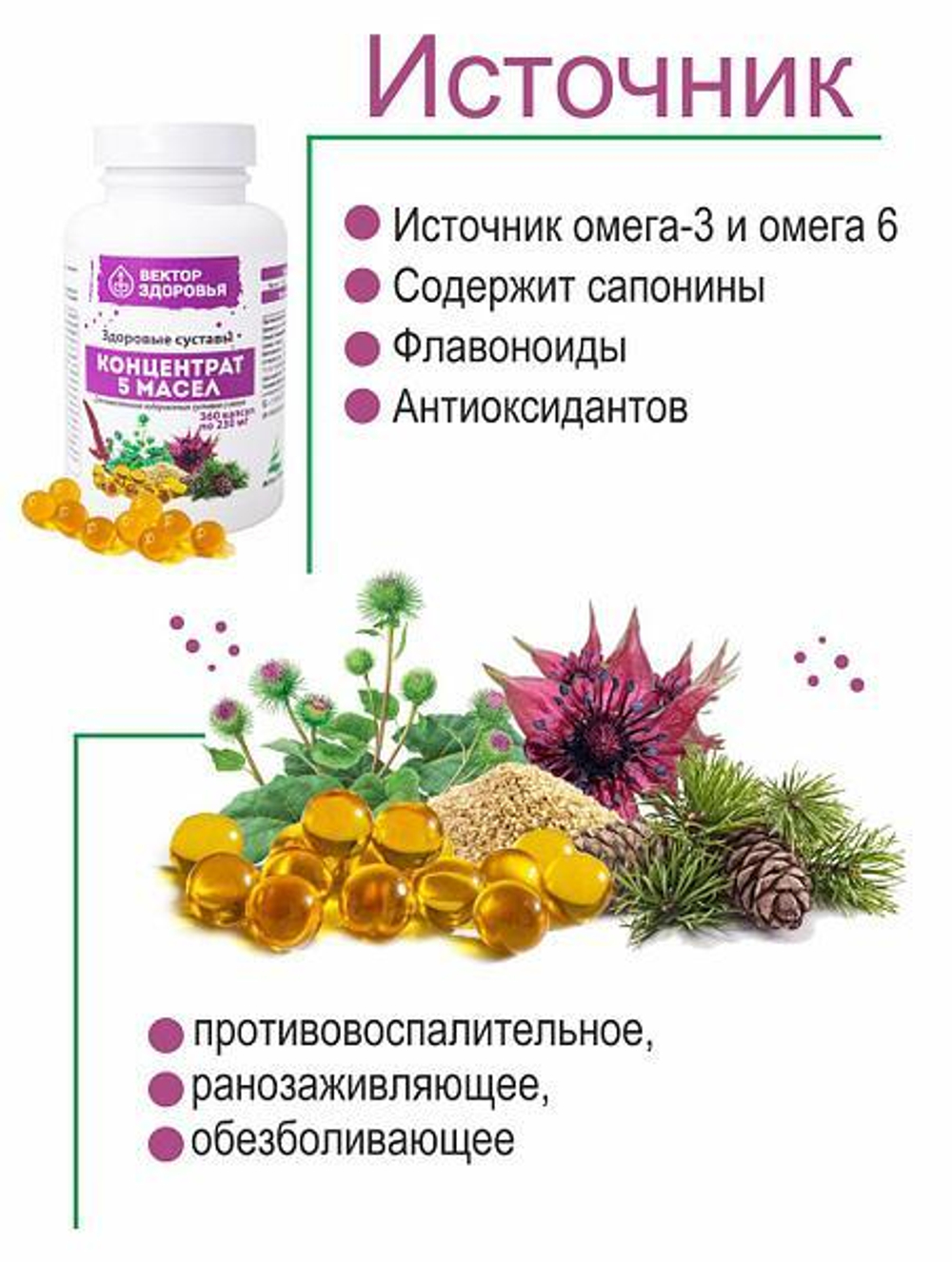 КОНЦЕНТРАТ 5 МАСЕЛ. Здоровые суставы 360 капсул