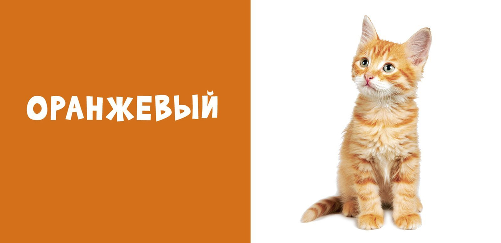 Мир вокруг меня. Цвета. Фотокнига