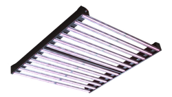 LED лампа Rootster (ex. Big Cock Design) Flasher 2 600W BS