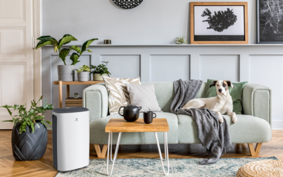 Осушитель воздуха серии CARISMA Loft RD-CR20-E — (8)