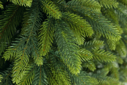 TAIGA 100%PU Ель искусственная Тайга литая 100% 180 см