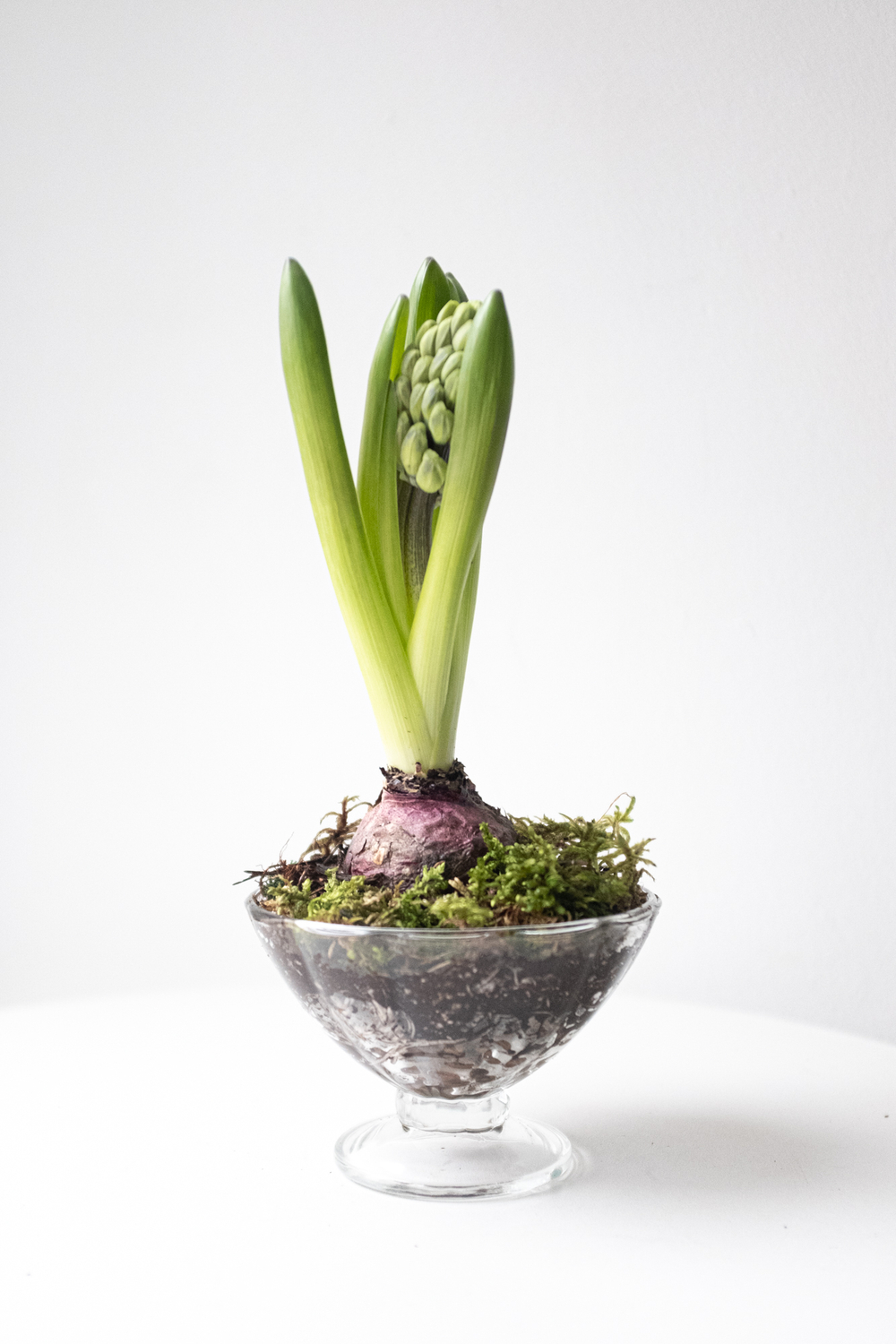 Серия Винтаж. Первоцветы в хрустале S