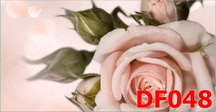 Фото обои - Дизайнерские DF048