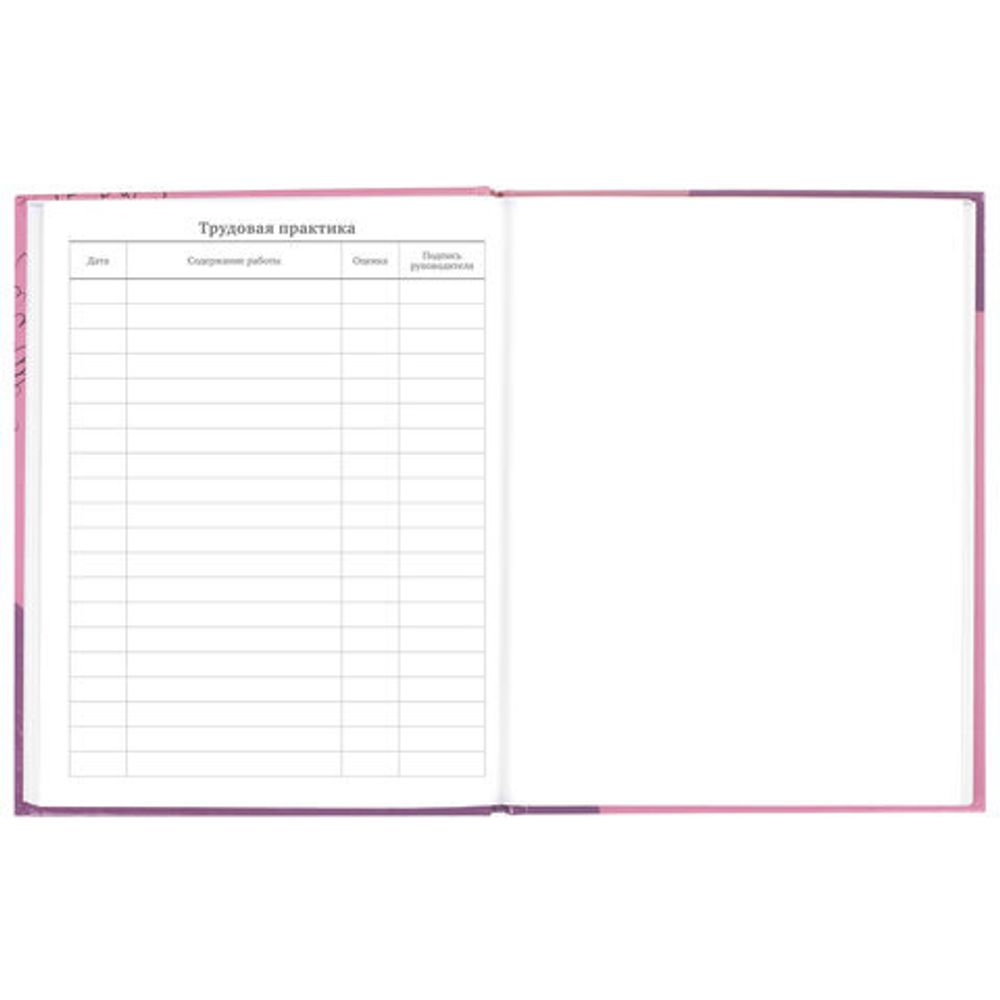 Дневник 5-11 класс 48 л., твердый, BRAUBERG, глянцевая ламинация, с подсказом, "Сладкая Жизнь", 106400