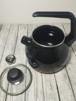 Чайник 3л сфер со свист Кармен (4шт)4с209/я