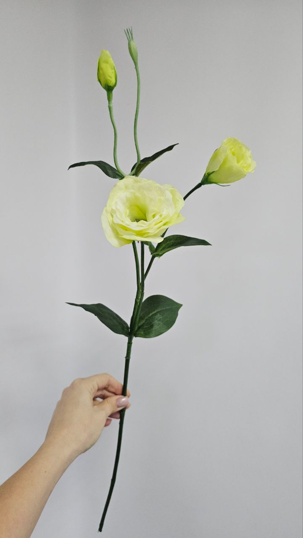 Эустома / Арт 2328