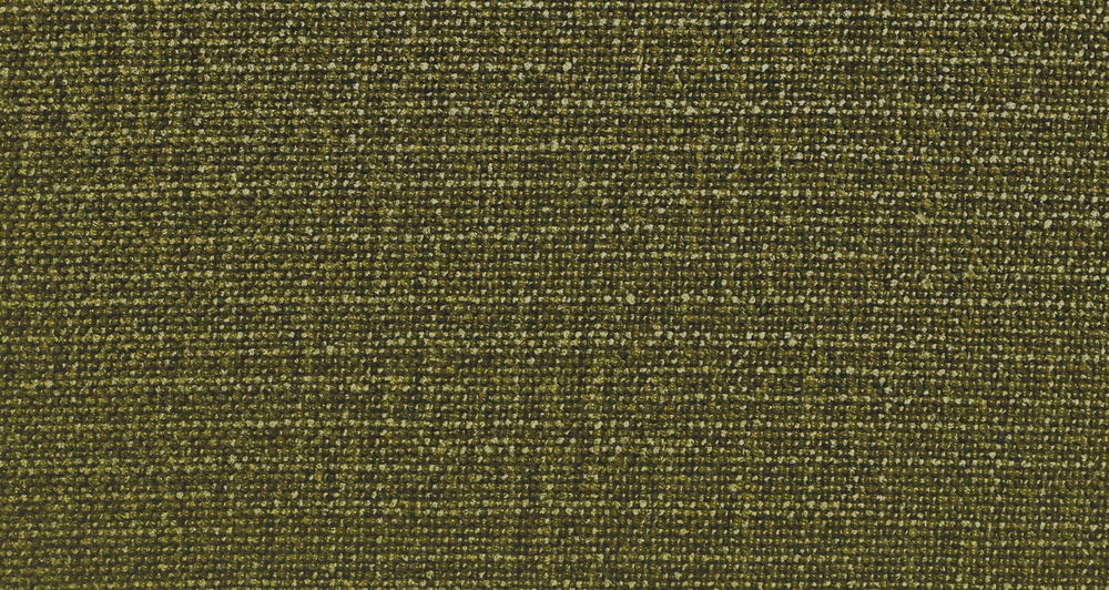 Шенилл Форест (Forest) 08 папоротник