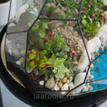 Флорариум бонсай Астероид с озером