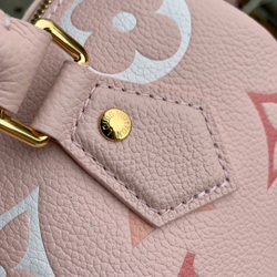 Louis Vuitton Speedy 20