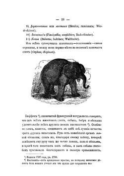 Рассказы для детей из естественной истории | Ишимова Александра Иосифовна